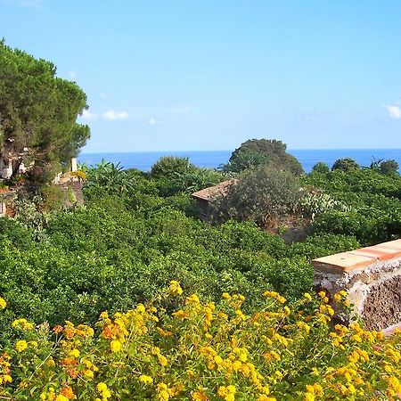 Il Limoneto Acireale Villa Buitenkant foto