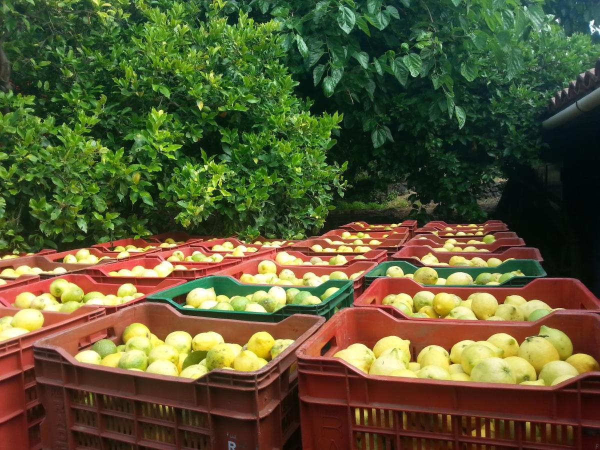 Il Limoneto Acireale Villa Buitenkant foto