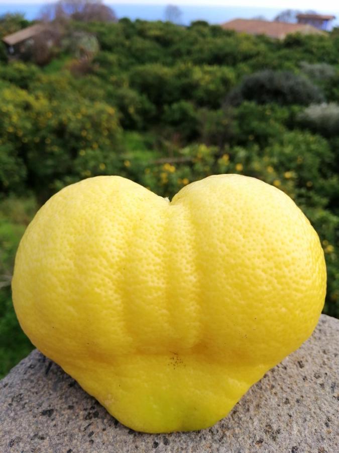 Il Limoneto Acireale Villa Buitenkant foto
