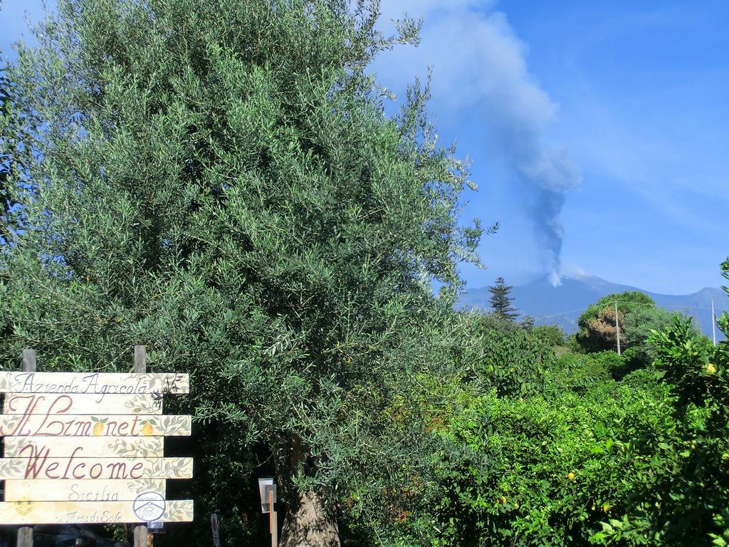 Il Limoneto Acireale Villa Buitenkant foto