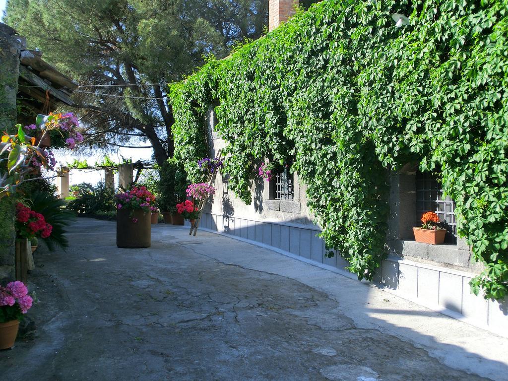 Il Limoneto Acireale Villa Buitenkant foto