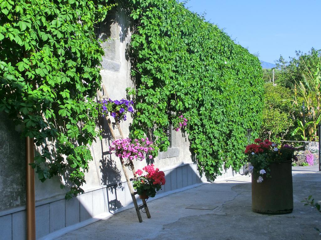Il Limoneto Acireale Villa Buitenkant foto