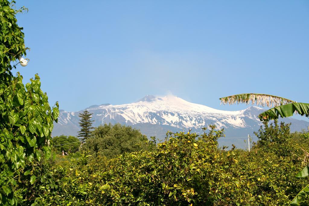 Il Limoneto Acireale Villa Buitenkant foto