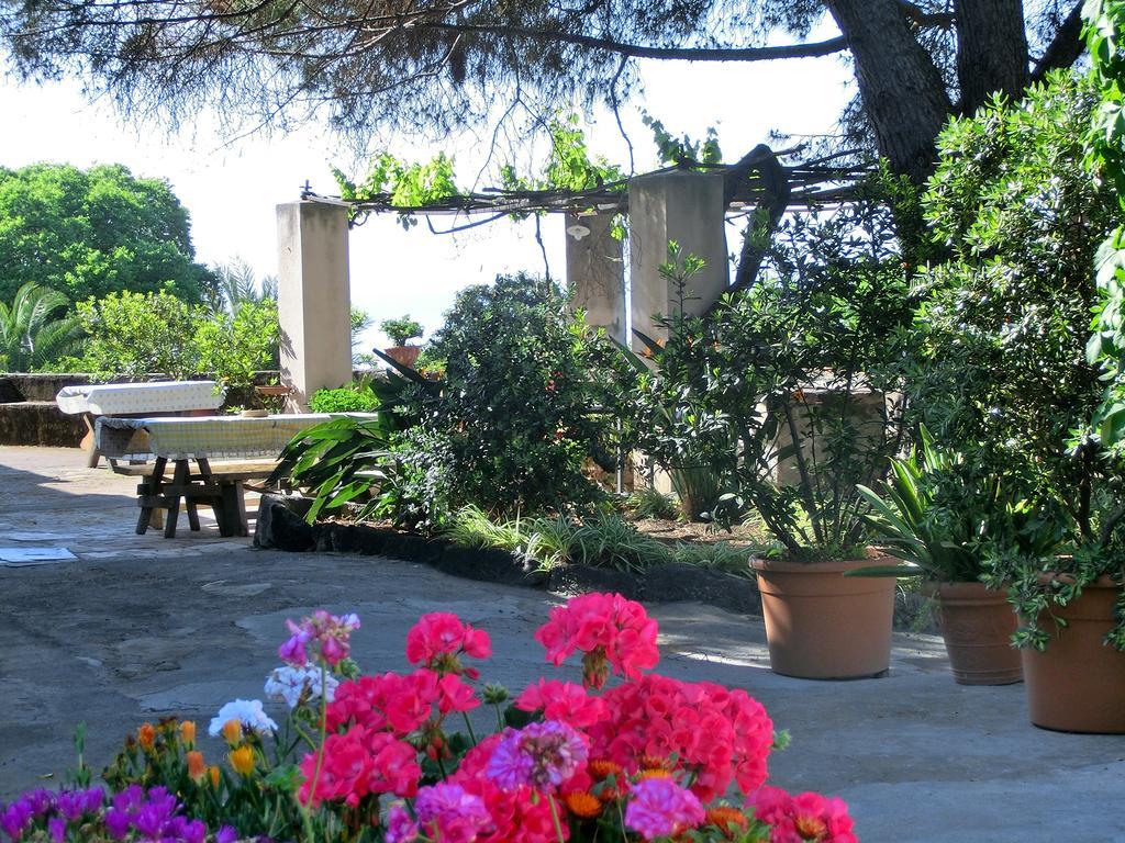 Il Limoneto Acireale Villa Buitenkant foto